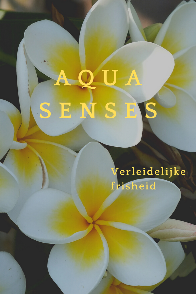 Aqua Senses All in One Haar- und Körpershampoo – Smart Care, 300 ml